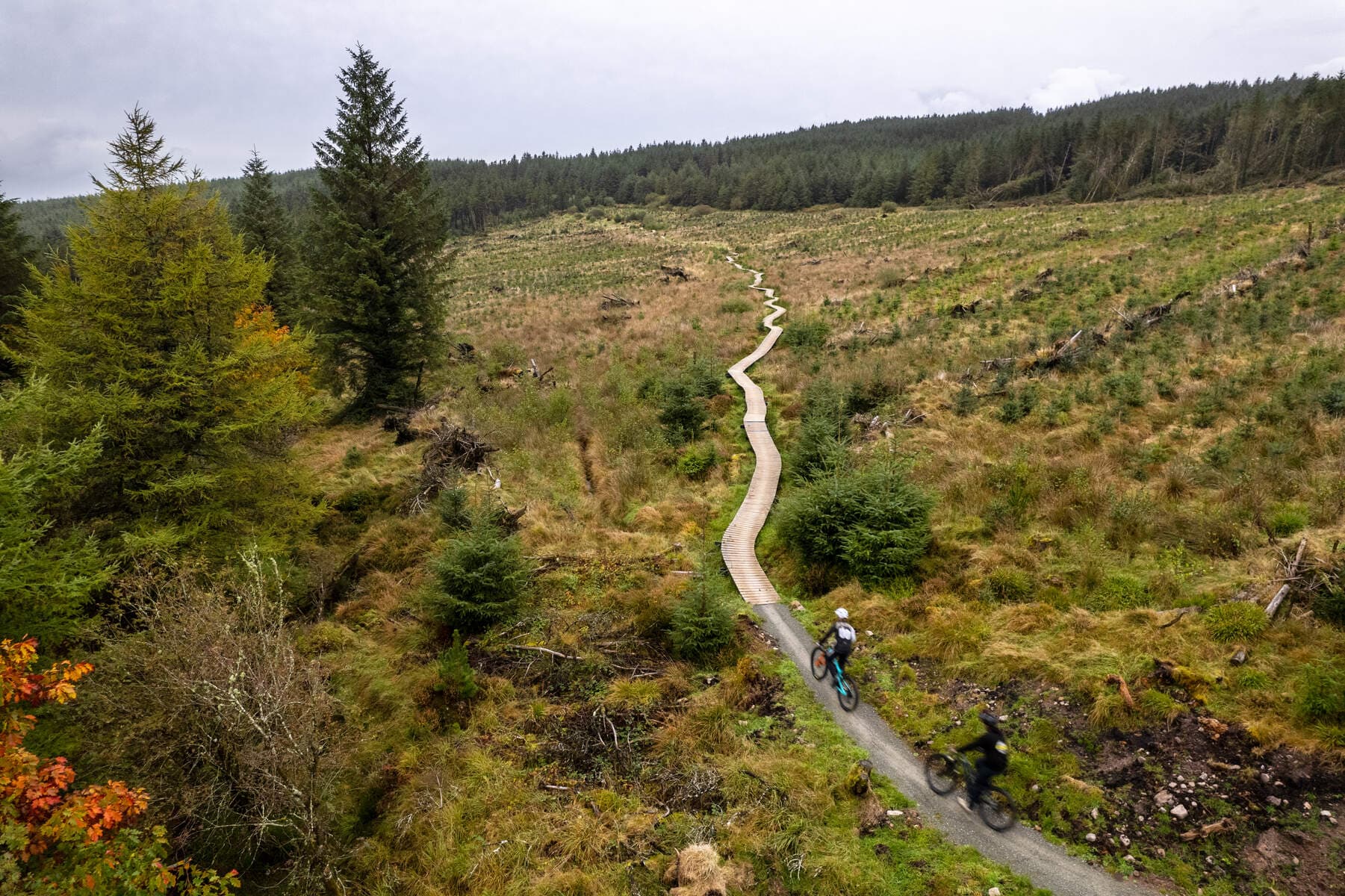 Ballyhoura Walks, Mountain Biking Thrills, and Hiking Adventures: 10 Amazing Trails for Your Bucket List