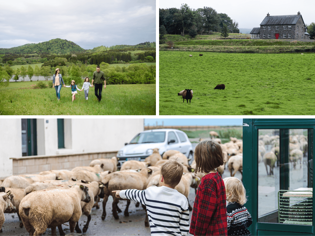 Unforgettable Ireland Family Road Trips: Best Routes and Tips